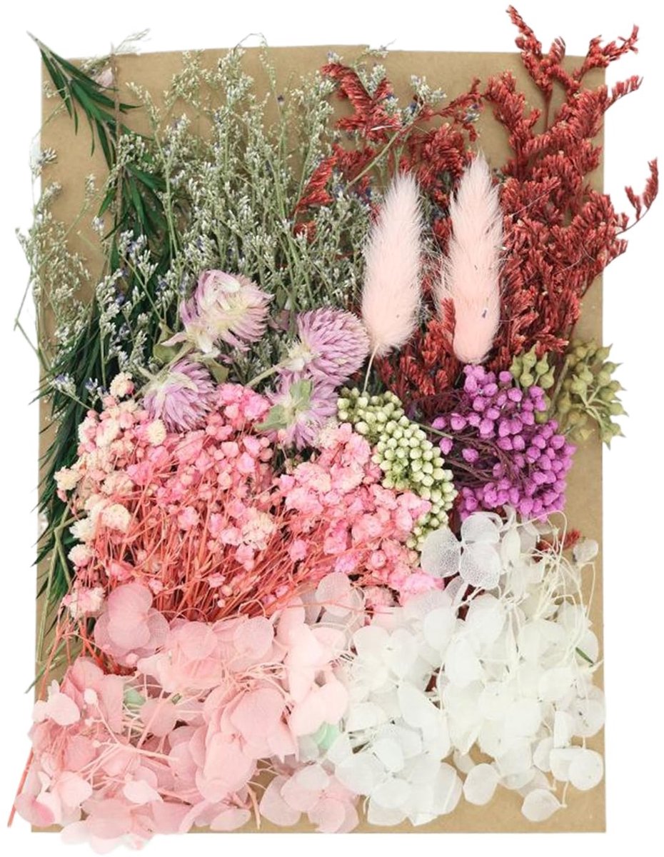 Dailygoods - Gedroogde bloemen, gedroogde bloemen decoratie, natuurlijke geperste bloemen, voor hars, DIY-knutselwerk, sieraden, kaarsen, nagelkunst, handwerk, scrapbooking en bloemdecoratie (roze)