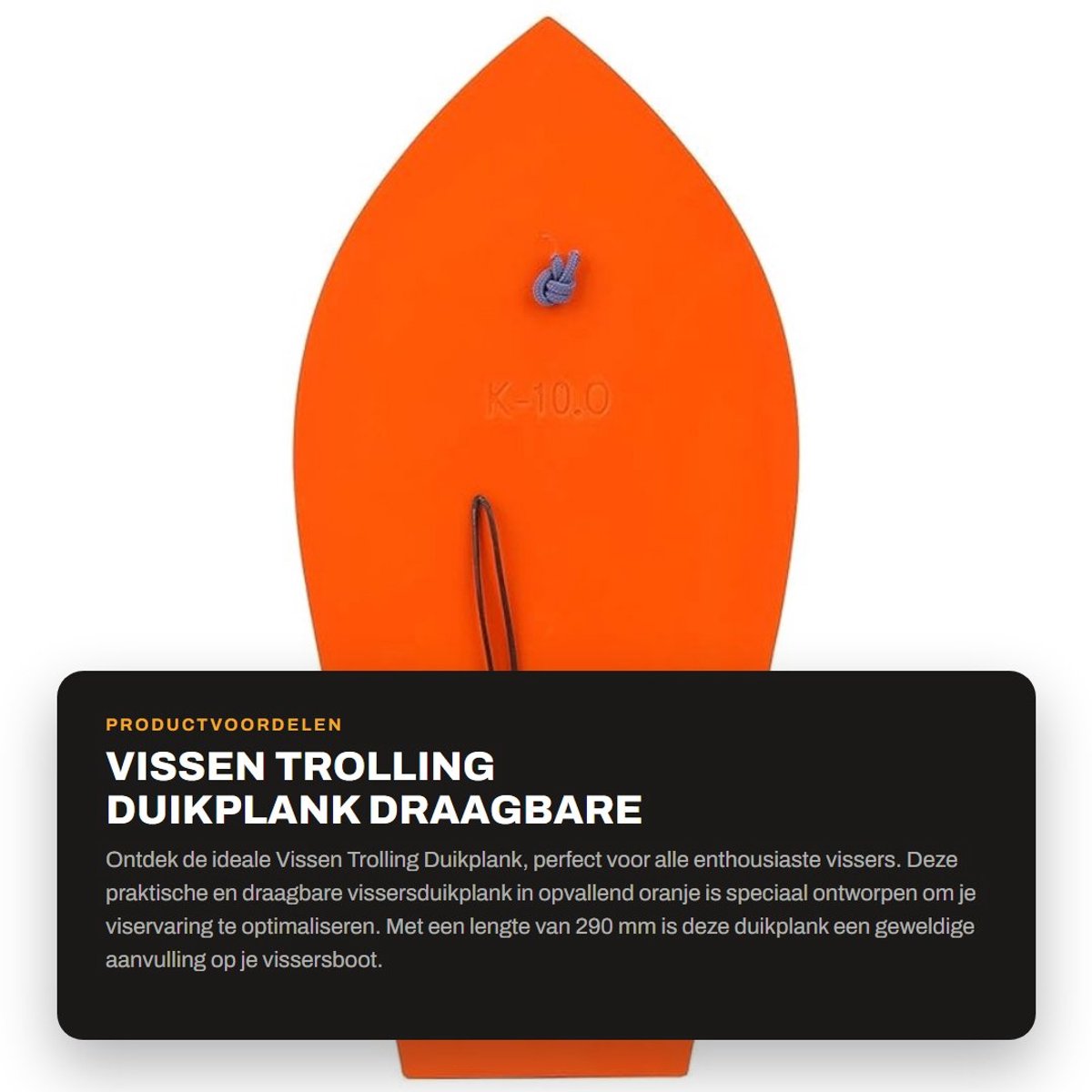 Dailygoods- Vissersduikplank Draagbaar - Trolling Plank - Plastic - Schaafplank - Zeevissen - Afmeting 290 mm - Vissersplank