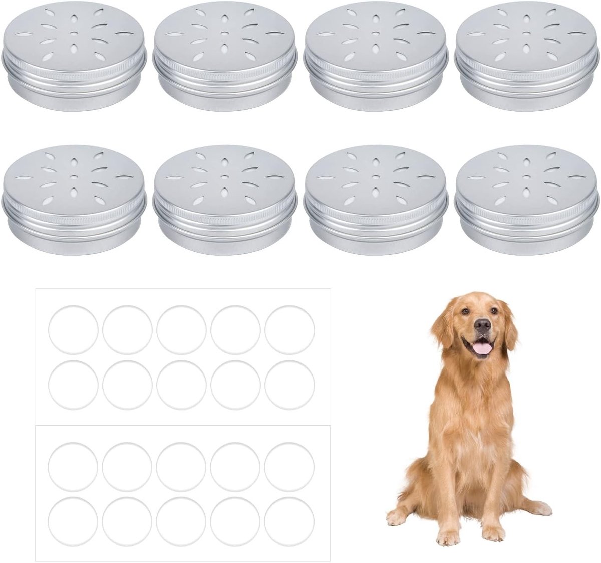 8 Stuks Honden Geur Trainingsdozen met 20 Lijmplakjes, Holle Geurdozen voor Neustraining, Ideaal voor Hondenneustraining en Geurherkenning
