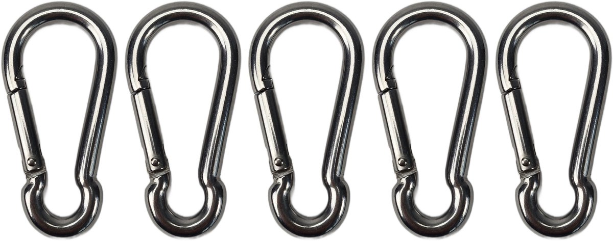 BCF-Products - Karabijnhaak - 10x100mm - 5 stuks - RVS 316 - Musketonhaak - Carabiner - Groot