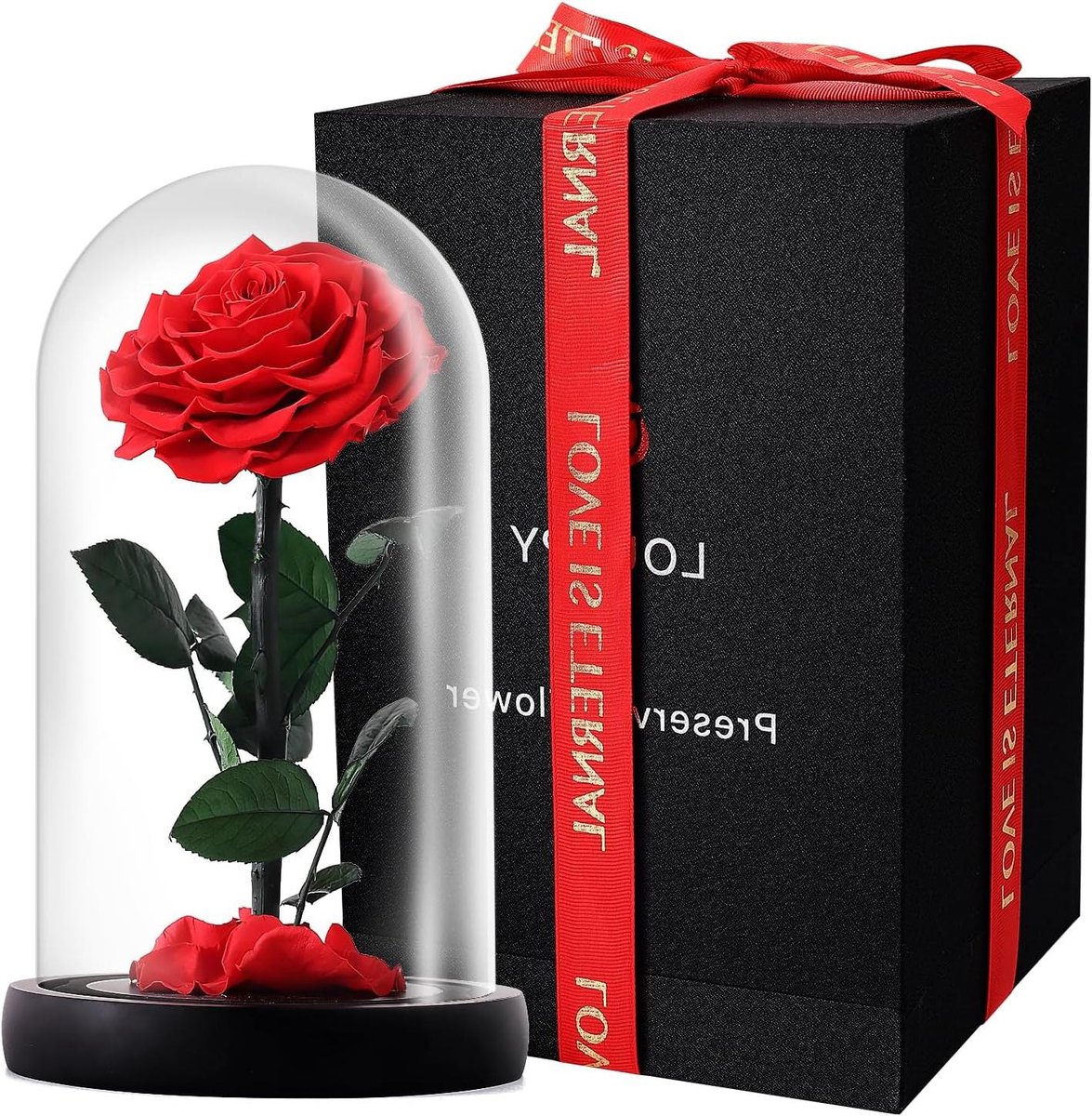 Eeuwige Roos - Bewaren Bloem - Cadeau Idee - Handgemaakt Glas - 9 Inch - Rood