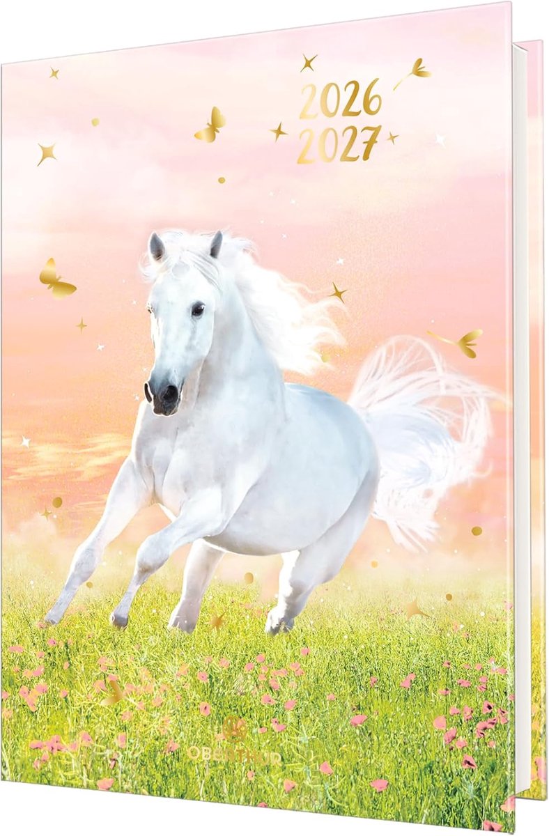 Thijox - Schoolagenda Paardencollectie - 1 Dagelijkse Agenda - Visueel Veulens - Augustus 2025 tot Juli 2026 - Formaat 12 x 17 cm - Perfect voor Basis