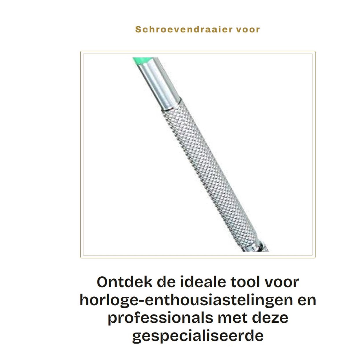 Dailygoods- Schroevendraaier 1,5 mm - Roestvrij Staal - Lengte 10 cm - Hublot H-Schroef - Speciale Reparatietool - Foutmarge 0,1 mm - Horlogeschroevendraaier