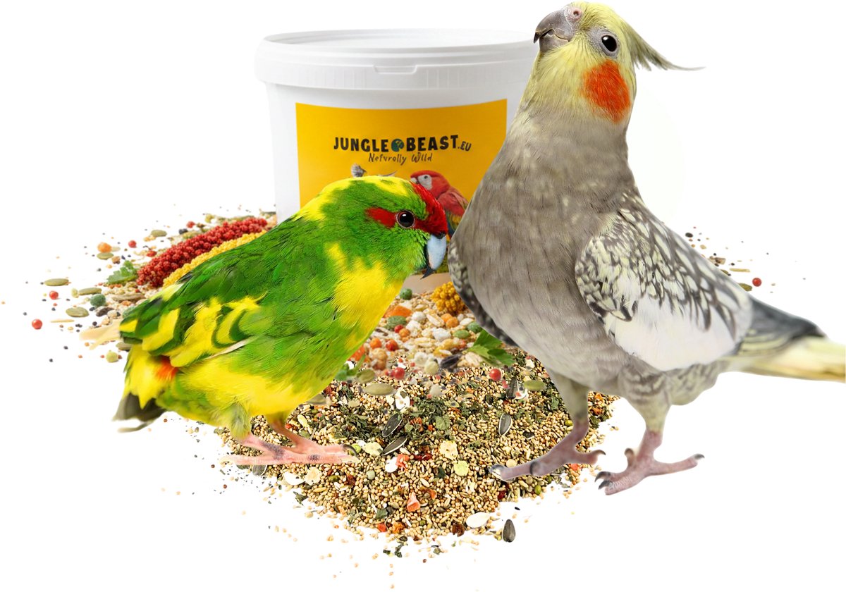 Jungle Beast | Kakariki & Valkparkiet | Scharrelkracht