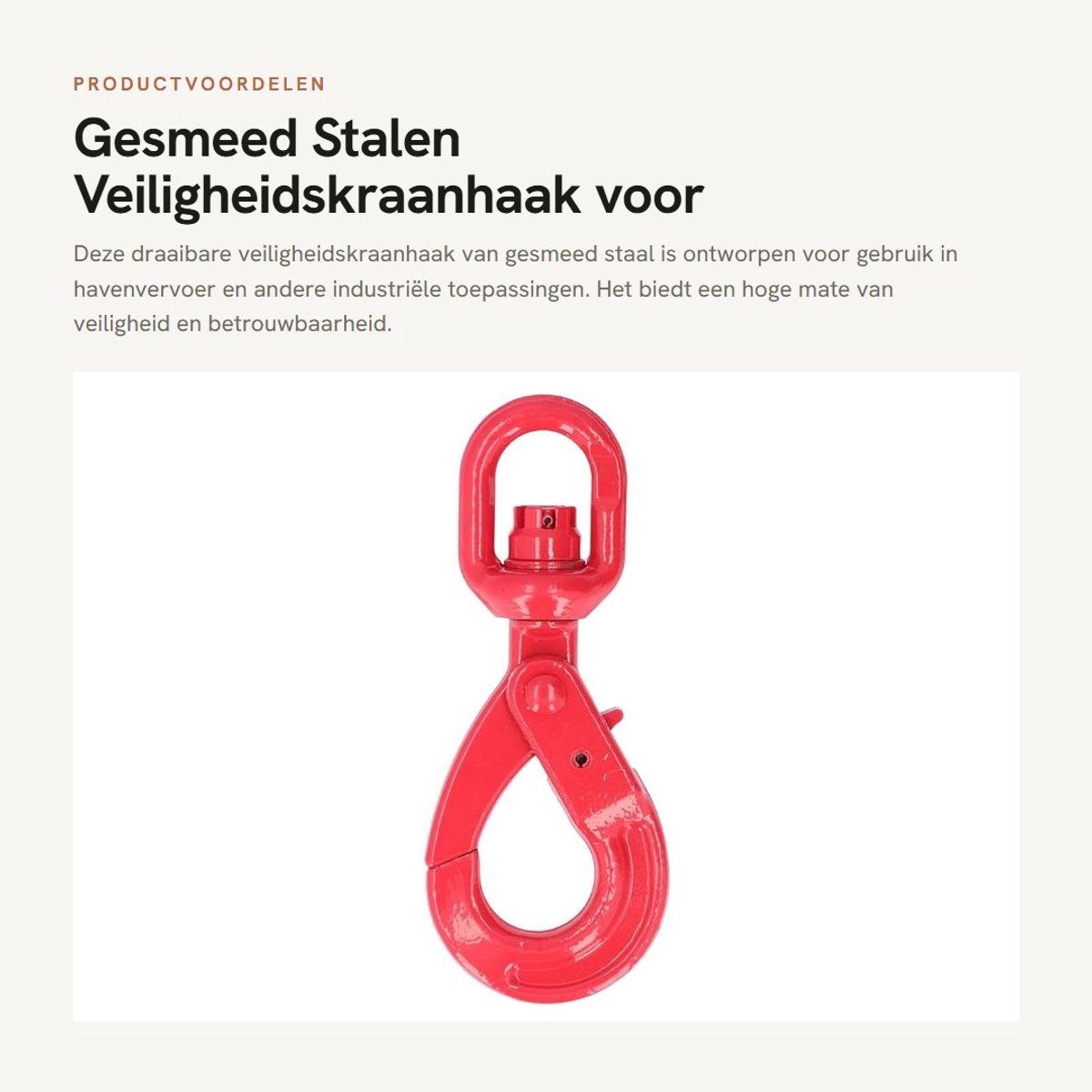 Dailygoods- Veiligheidshaak 1.12T Draagvermogen - Gesmeed Staal G80