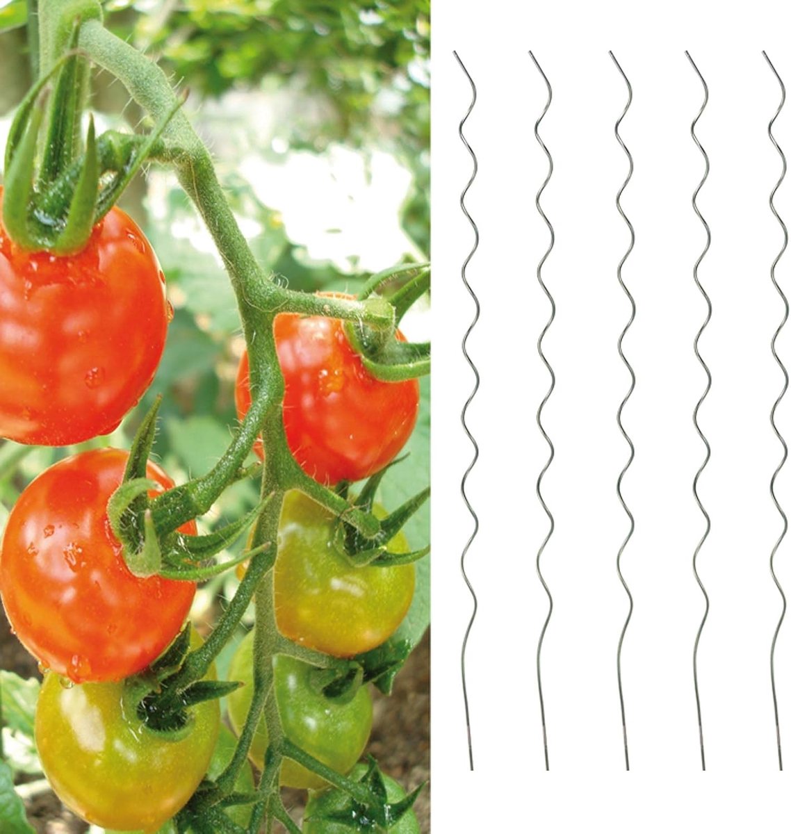 Tomatensteunen - Klimhulp planten - Planten ondersteunen - Spiraalvormige grip - 5 stuks 110cm - Zilver