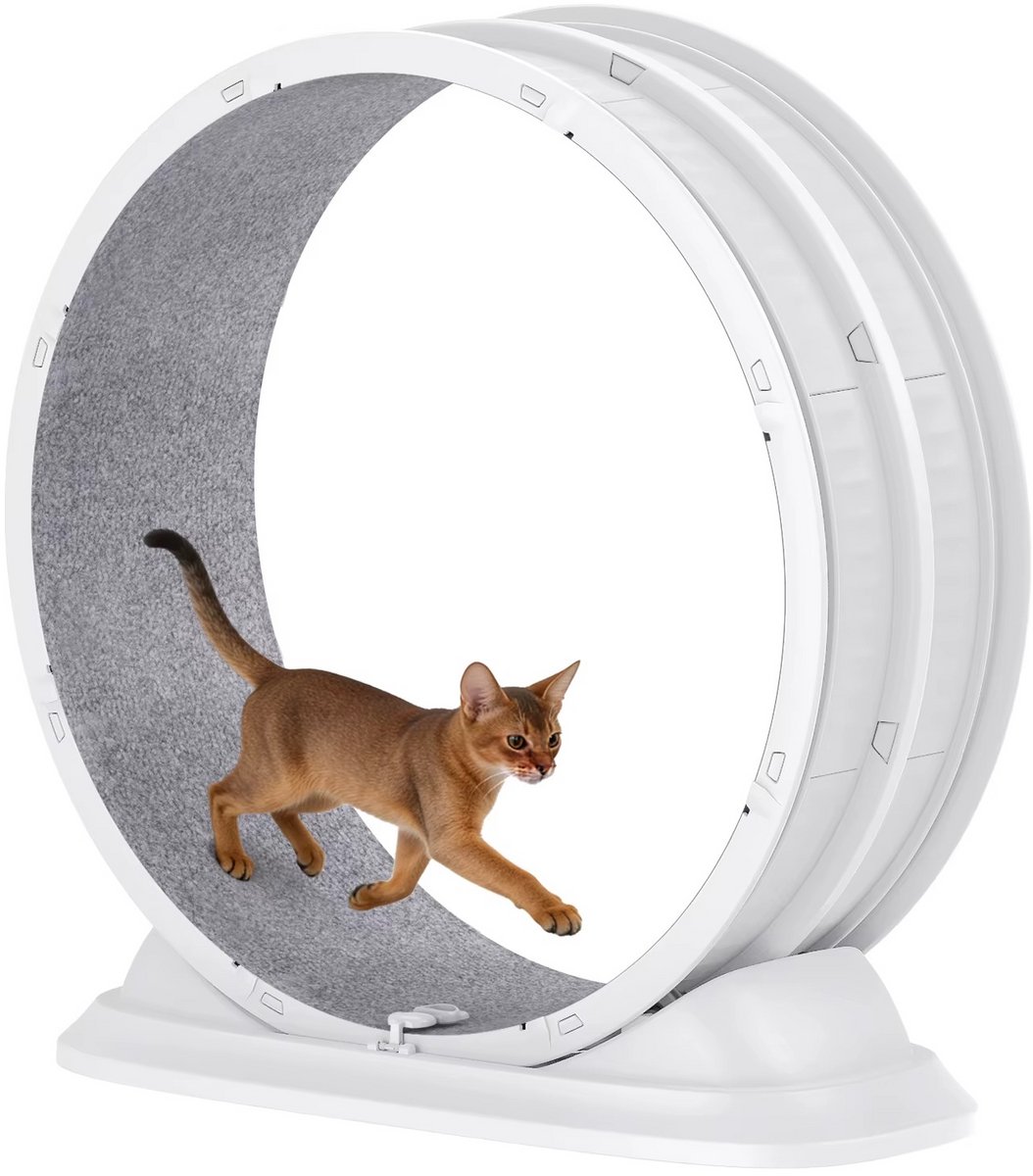 JOYNEXTBUY Grote Kattenloopband – Kattenrad met Verwisselbaar Krabpad – Stil Katrolsysteem – Fitnesswiel voor Binnenkatten – Wit