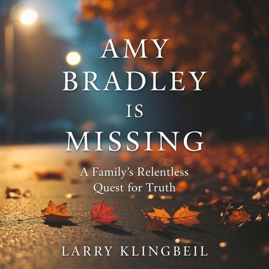 Amy Bradley Is Missing - cover