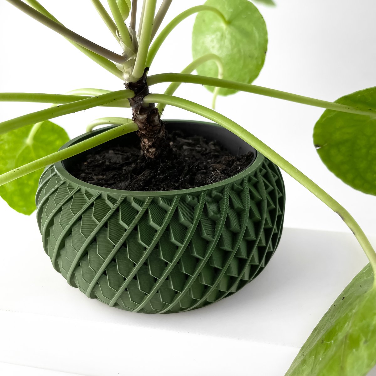 Skushy W13 Bloempot - Moderne Designpot voor Kamerplanten - Sculpturale Plantenpot voor Woonkamer en Kantoor - Premium Woondecoratie
