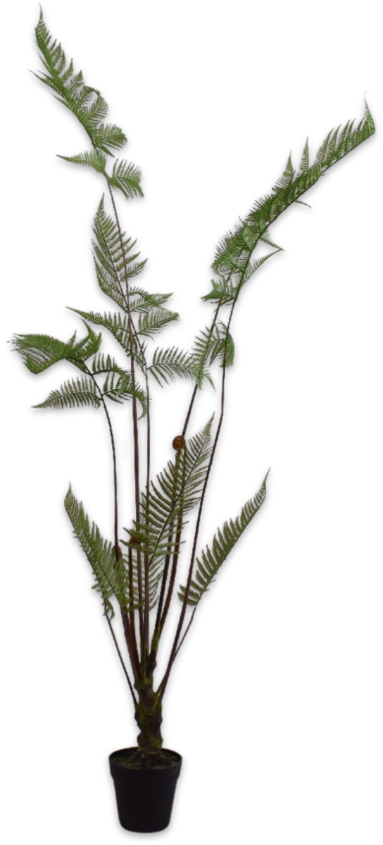 Silk-ka - Kunstplant - Varen in Pot - Groen - 147 cm
