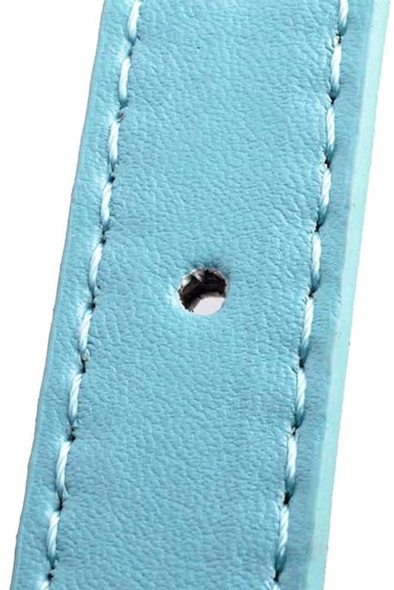 Leren Halsband met Spikes - Verstelbare Halsband voor Honden