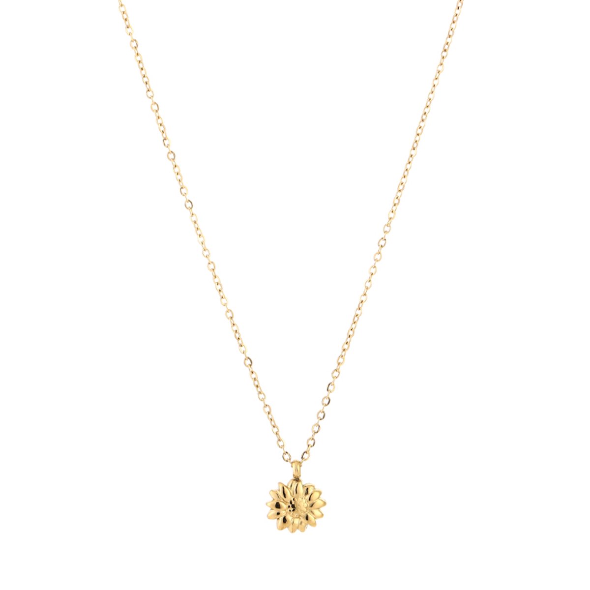 Zomerse Stainless Steel Halsketting - Tijdloze Fijne Schakel met Botanische Bloem Bedel - Goud
