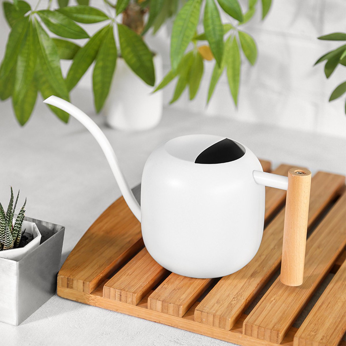 1200 ml Roestvrijstalen gieter, kleine gieter met lange tuit voor kamerplanten, metalen gieter voor kamerplanten, kleine gieter voor diverse kleine planten