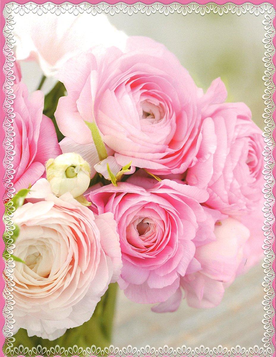 MGPcards - 3x A4 plus wenskaarten met envelop - Bloemen zonder tekst - 3 Wenskaarten - 23x29.7 cm