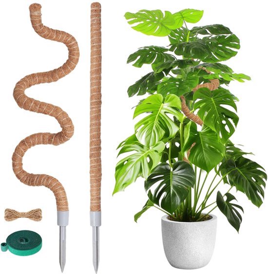 Mospaal Buigbaar - Mospaal voor Monstera - 2 Stuks - 120 cm/60 cm - Planksteun - Duurzaam Materiaal - Plantsteun