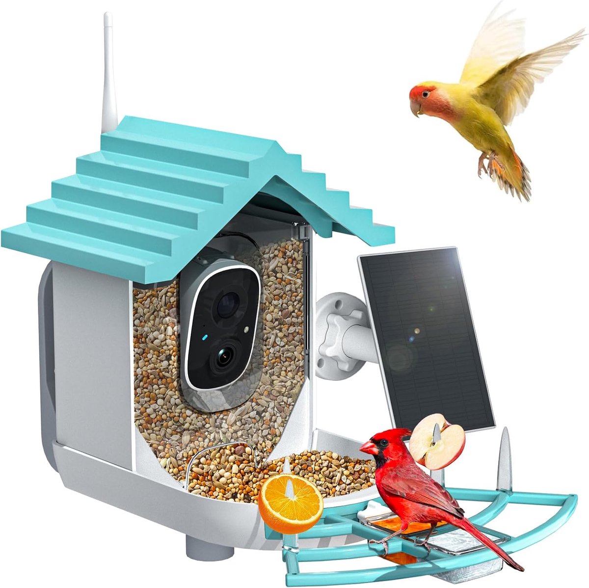 Slimme vogelvoeder met camera, werkt op zonne-energie en heeft AI-vogelherkenning. Deze vogelvoeder is geschikt voor buiten en biedt 2,4 GHz wifi, 2K live video en directe aankomstmeldingen - Blauw