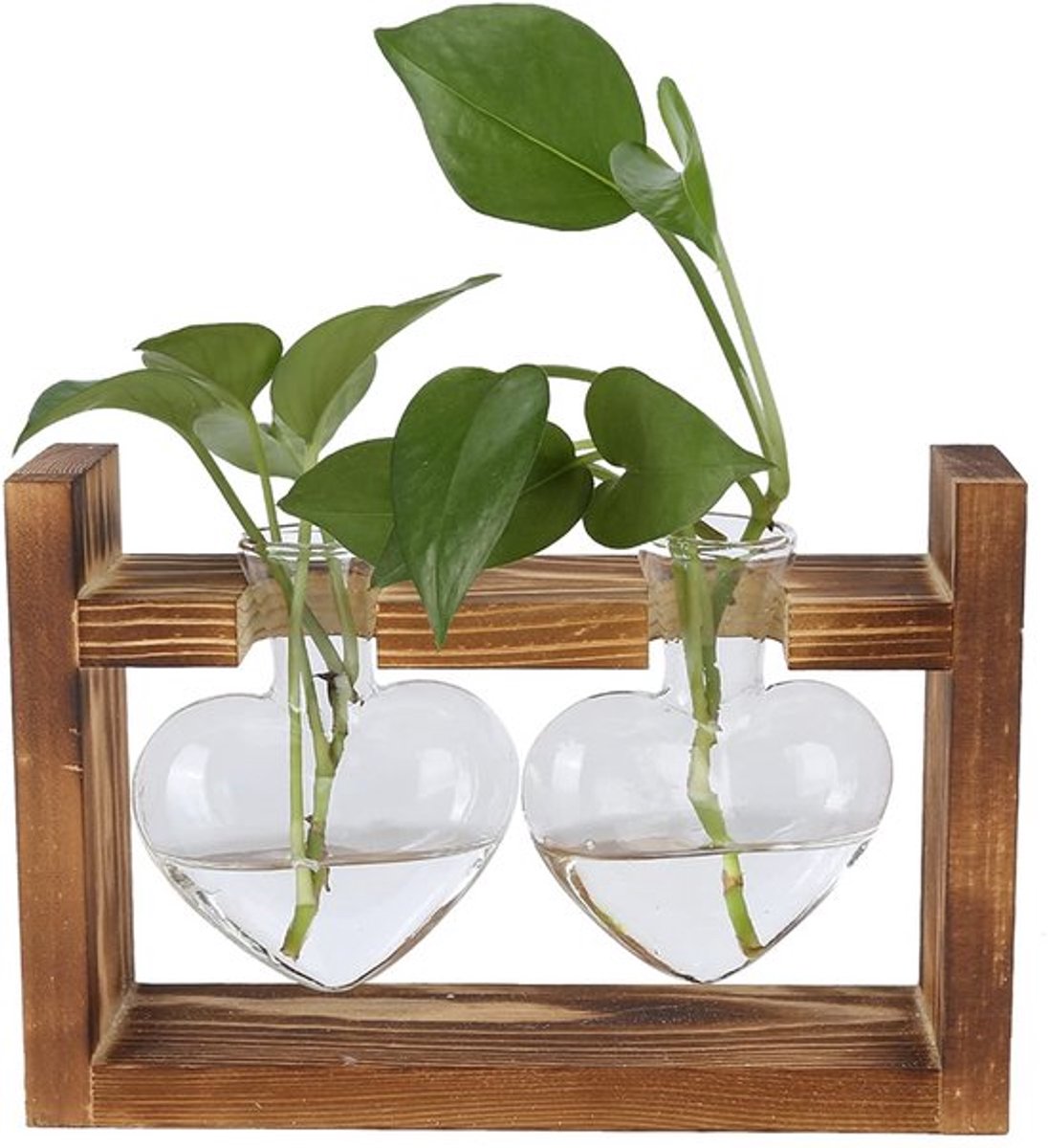 Plantenterrarium Hartvormig - Bloemenvaas Borosilicaatglas - Houten Standaard - Hydrocultuurplanten - Bureaudecoratie - 1/2/3 Flessen