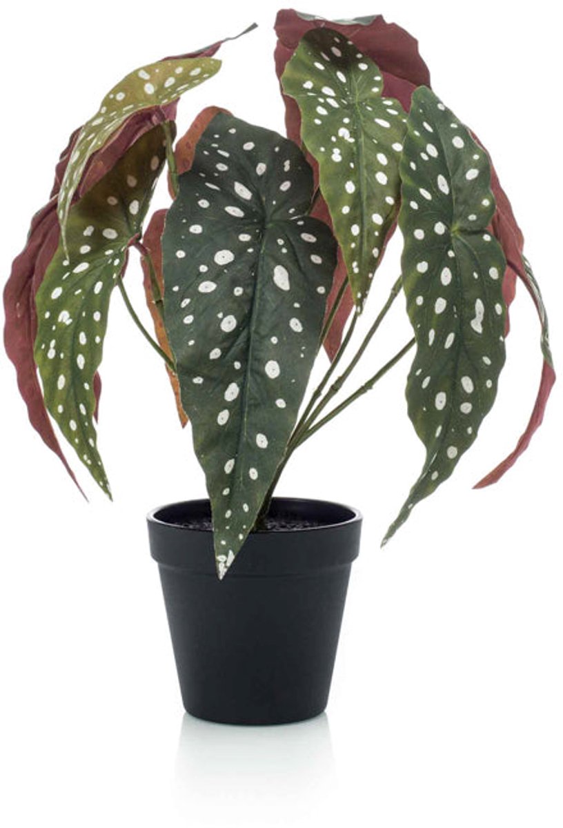 Emerald Kunstplant in pot Begonia Maculata 33cm - Kunstplant voor binnen Groen