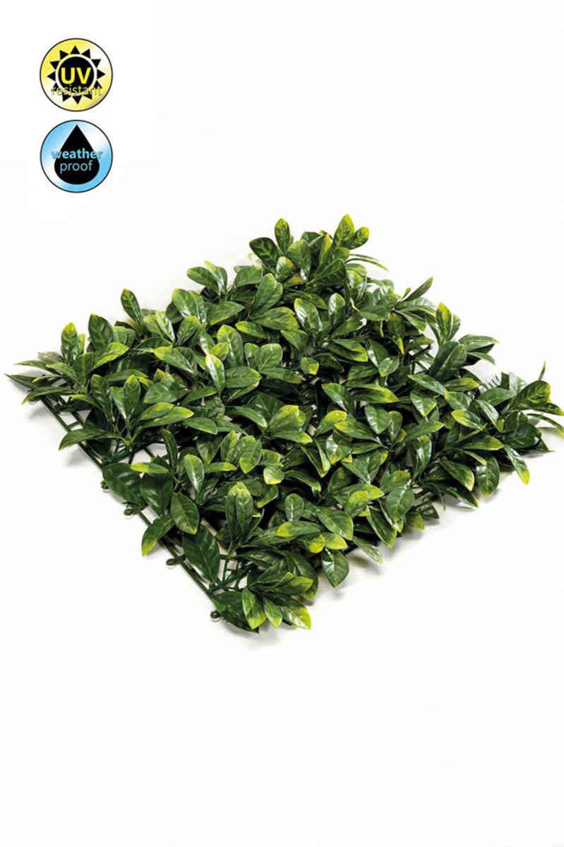 Emerald Kunst Plantenwand Prunus UV 50x50cm - Kunstplant voor binnen Groen