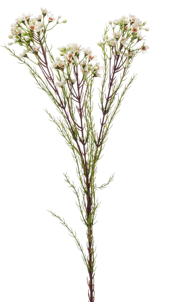 Emerald Kunstbloem Wasbloem 78cm crème - Kunstplant voor binnen