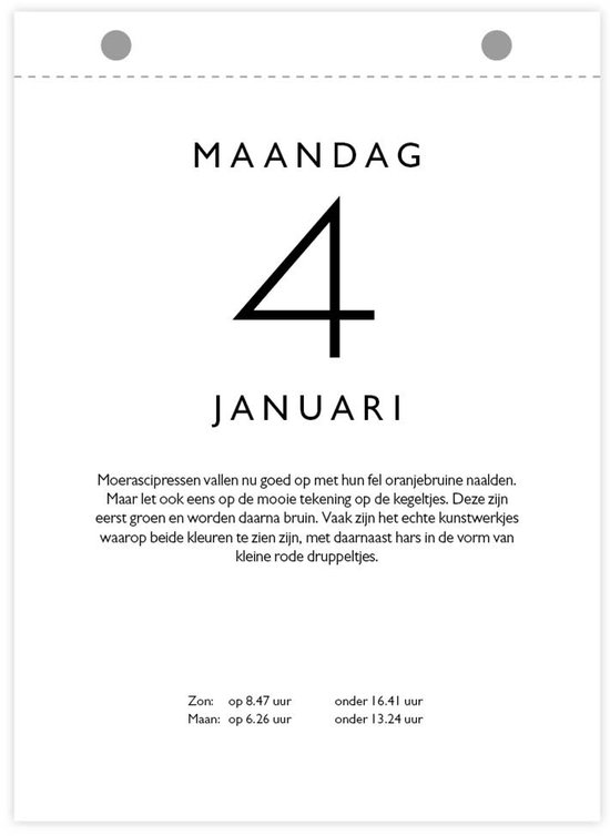 Maandag 4 januari, scheurkalenderblad met informatie over Moerascipressen.