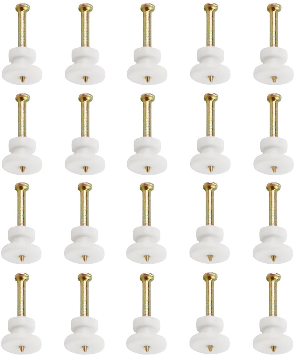 Dailygoods- Fotospijkers 20 Stuks - Onzichtbare Haken - Ophanghaken Schilderij - Duurzaam - Roestvrij - Stabiliteit Onder Belastingen