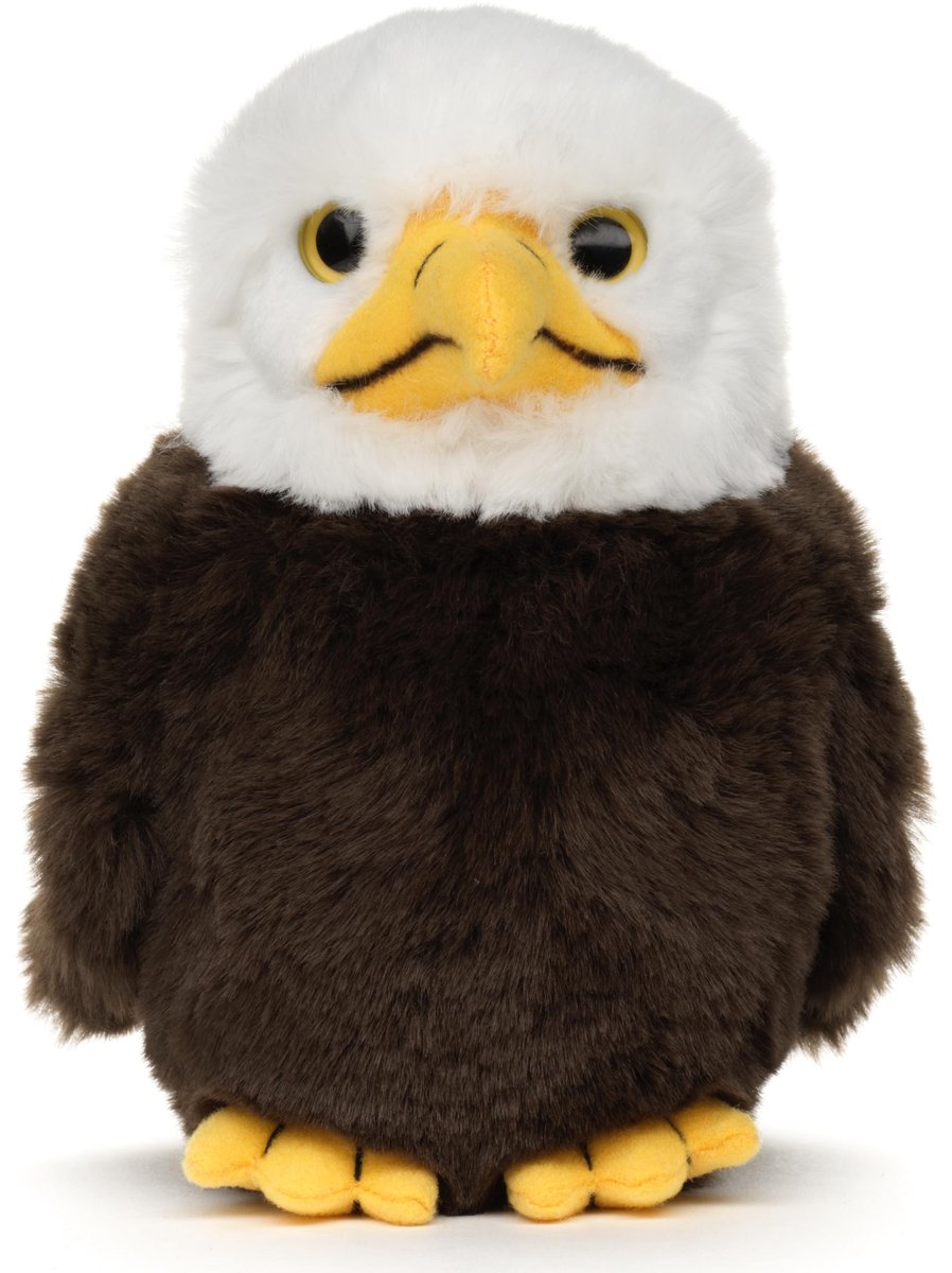 Dailygoods - Witte Zeearend Baby Knuffeldier - 17 cm Pluche Vogel