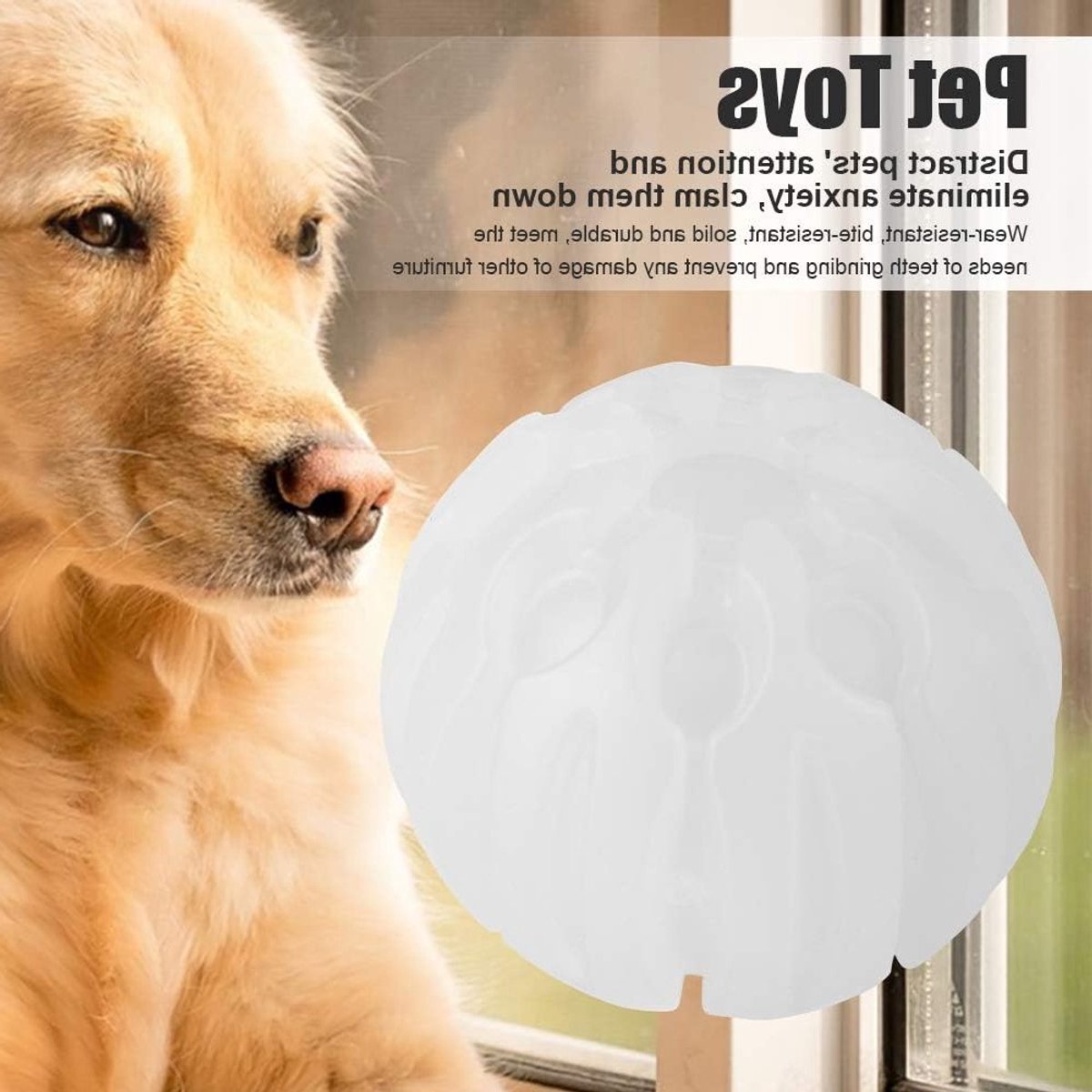 Lichtgevende en duurzame speeltjes voor huisdieren, kleurrijke LED bal voor honden en katten, perfect voor binnen en buitengebruik