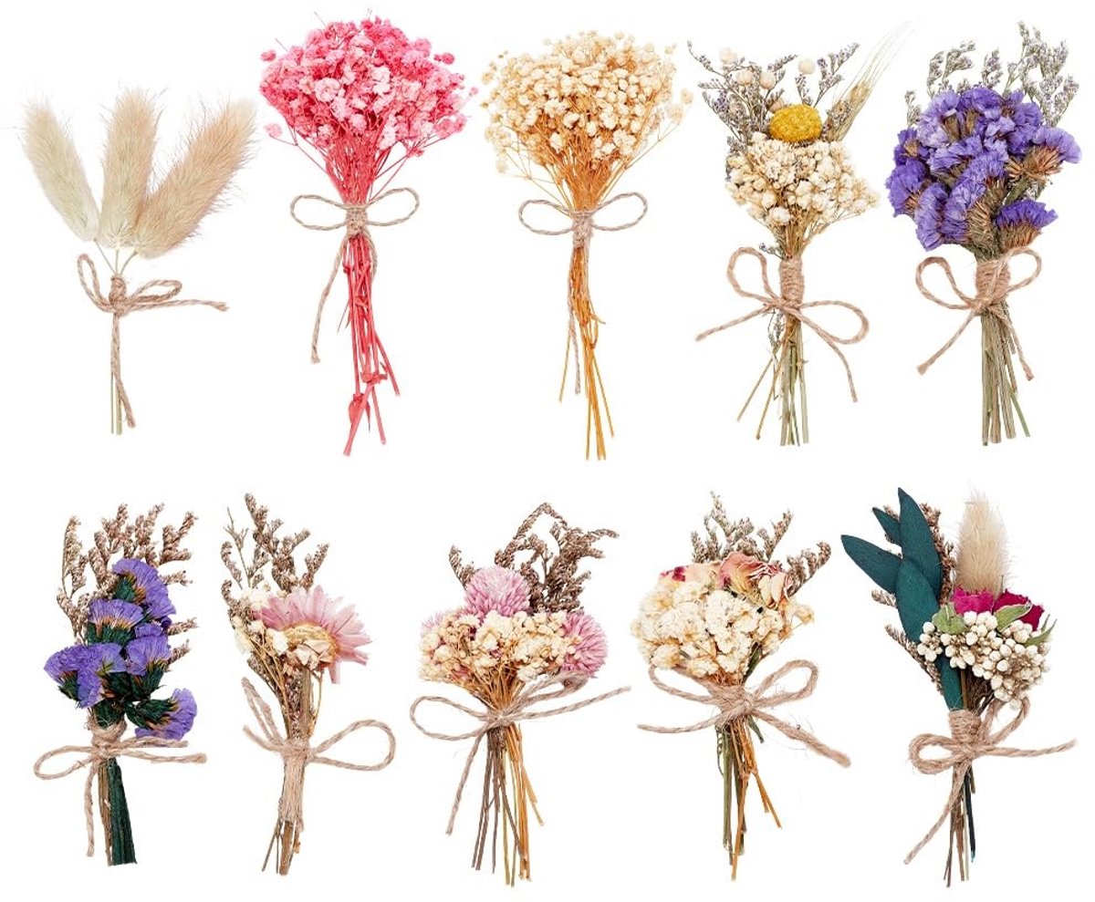 Cosensi- Gedroogde Bloemen 10 Stuks - Mini Droogbloemboeketten - Kunstbloemen - Vaas Decoraties - Bruiloft/Herfst Feest - Afmetingen 10,5-19,5 cm - Droogbloemboeket