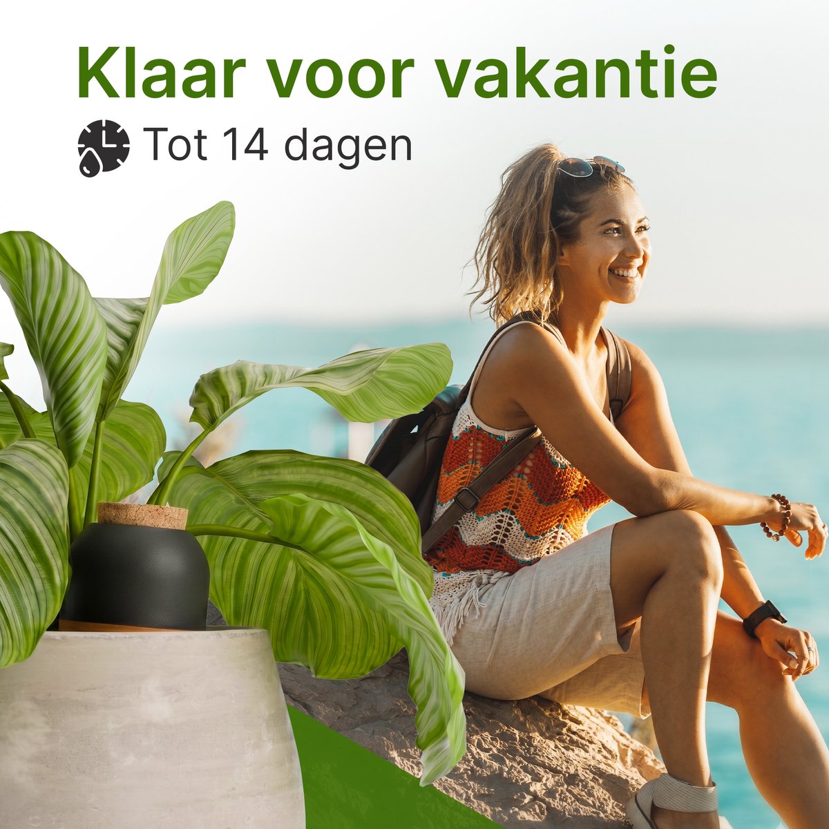MINISMUS Waterdruppelaar Terracotta 950ml Set van 1 - Bewateringsbal - Zelfbewaterend Watergeefsysteem voor Kamerplanten - Waterbol voor Binnen en Buiten - Automatische Beregening tot 14 dagen - Vakantie Plantenverzorging - Olla thumbnail 2