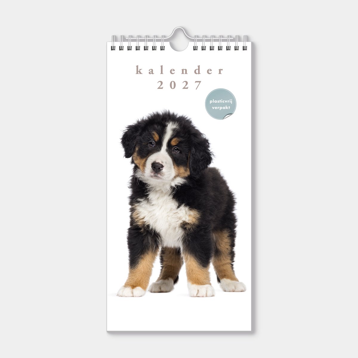 Hobbit - Minikalender 2027 - Maandplanner - 30x15cm - Honden