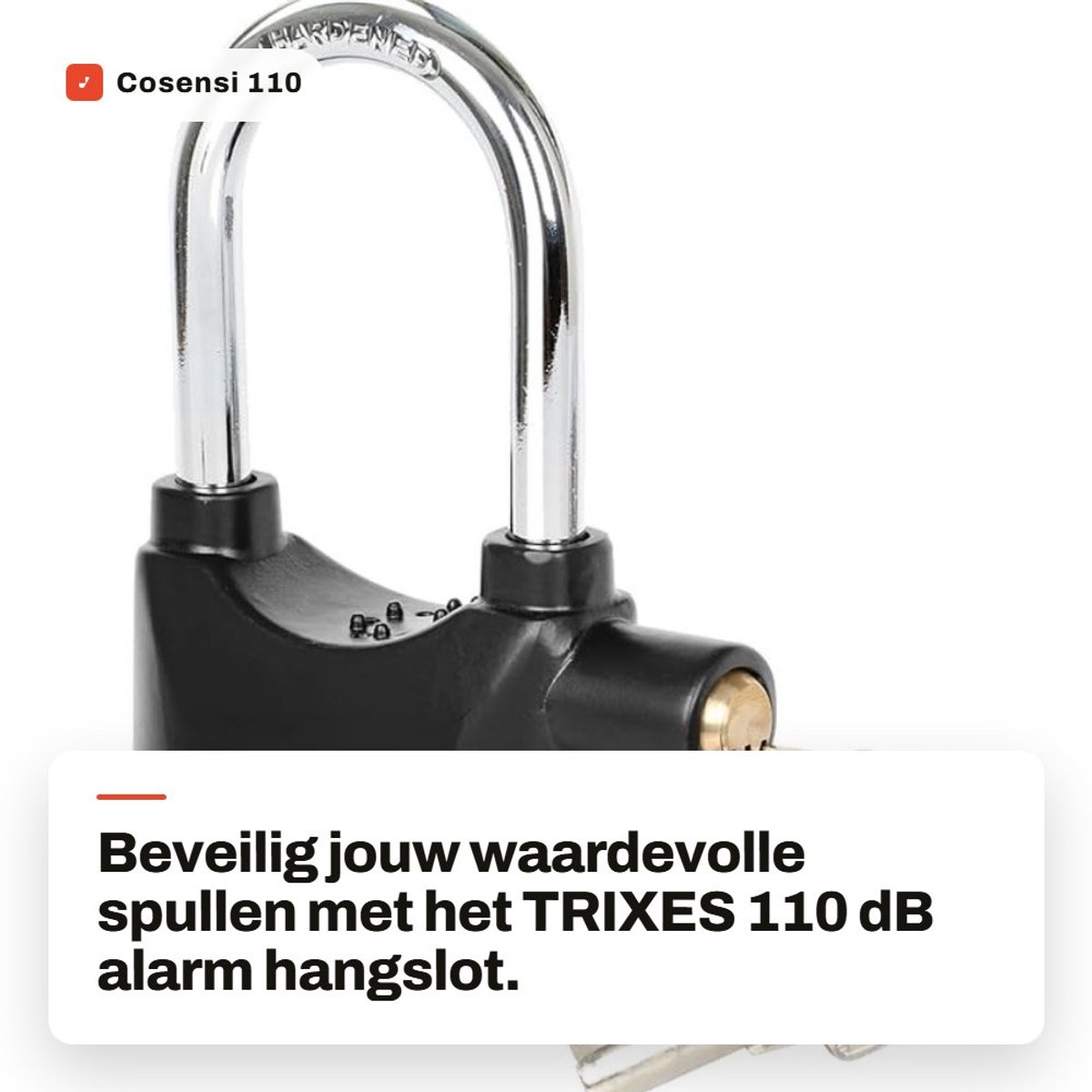 Dailygoods - 110 dB Alarm Hangslot - Weerbestendig en Robuust voor Buiten gebruik