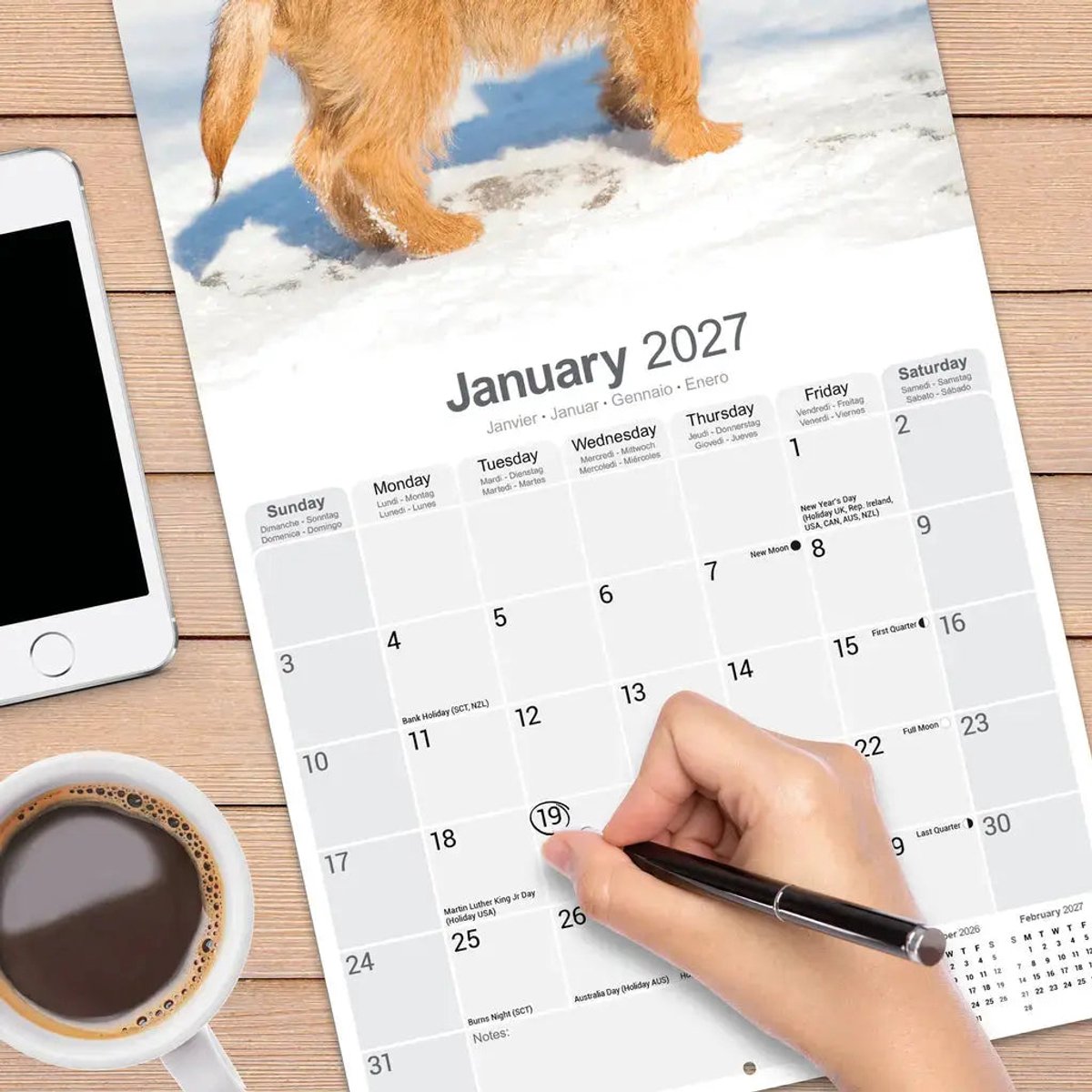 Cairn Terrier Kalender 2027