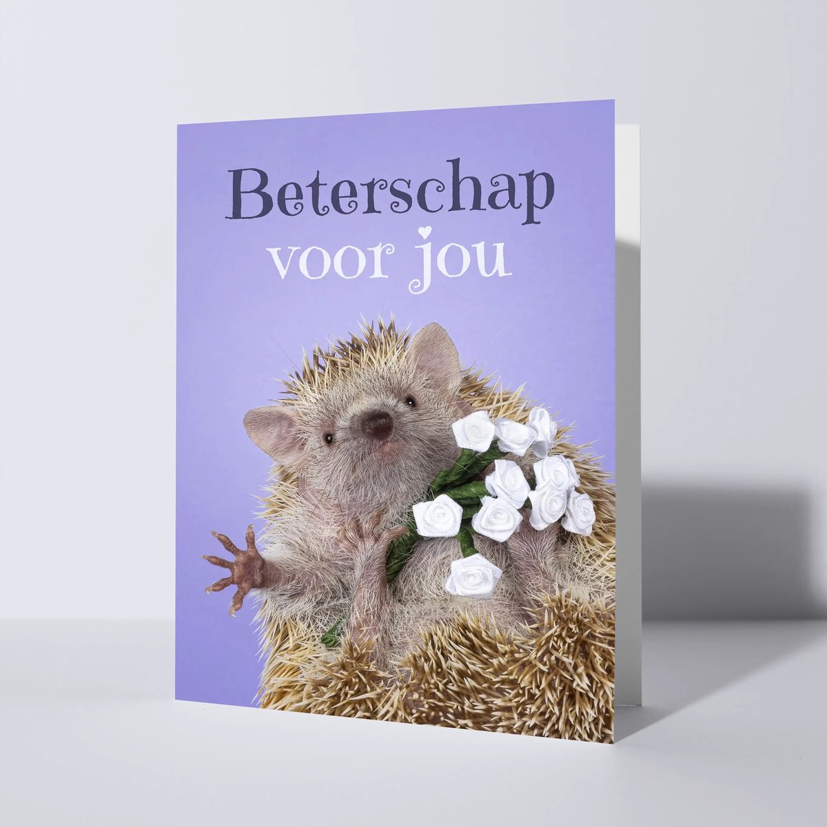 CAT'CHY Cards - wenskaart - beterschap - tenrec