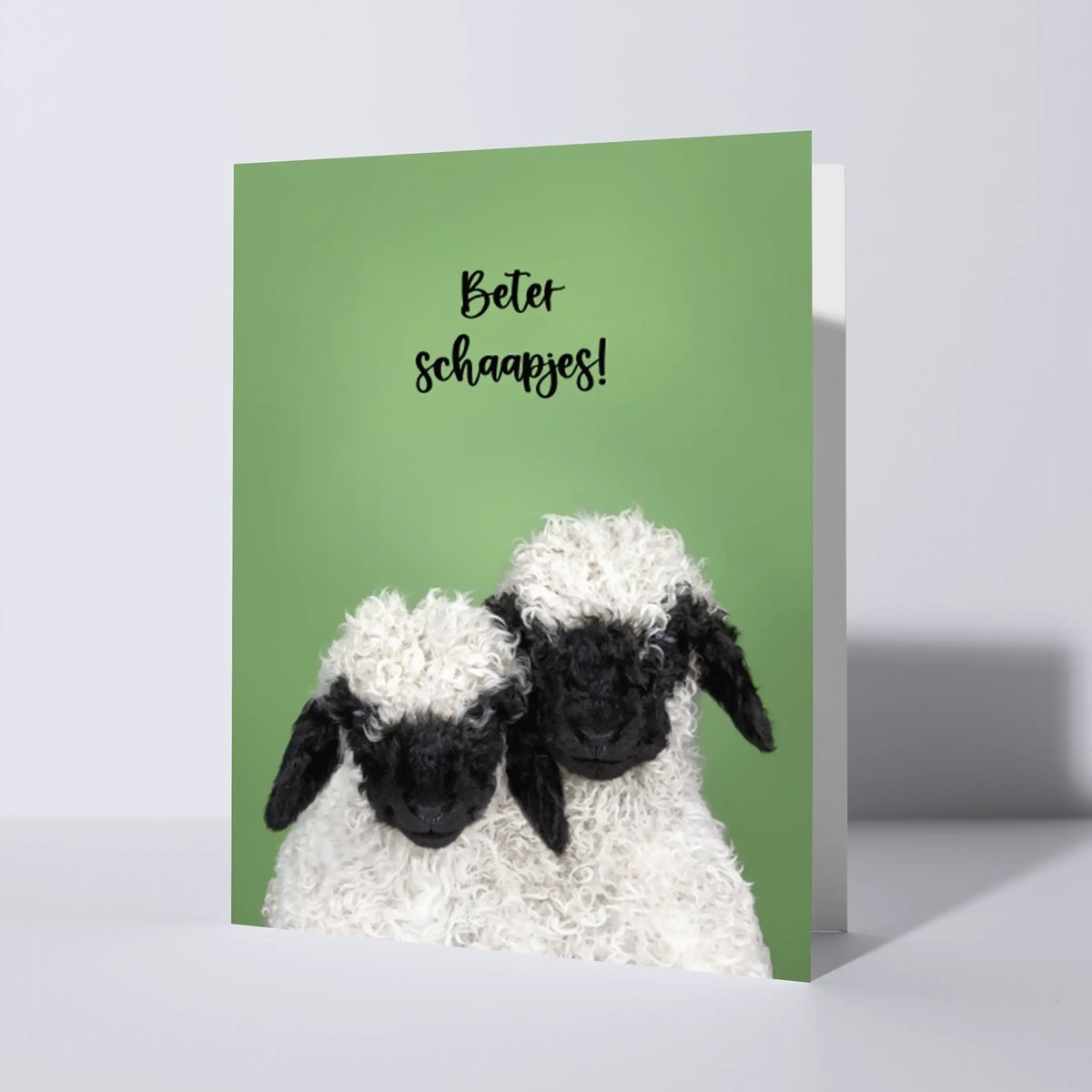 CAT'CHY Cards - wenskaart - beterschap - hond