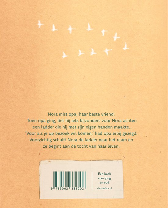De achterkant van het boek heeft de titel en de tekst. Er staan witte vliegende vogels op een bruine achtergrond.