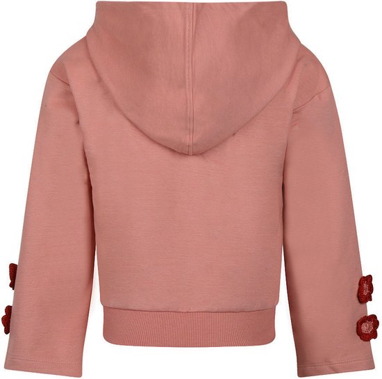 Roze hoodie van Koko Noko, achterkant. Versierd met rode bloemetjes op de mouwen.