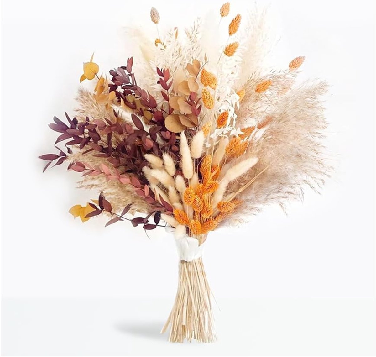 SnelShoppen - 64 Stuks Natuurlijke Gedroogde Bloemen voor Decoratie - Dried Pampas Grass voor Knutselen, Boho Droogboeket, Drogen Bloem Decoratie, Gem