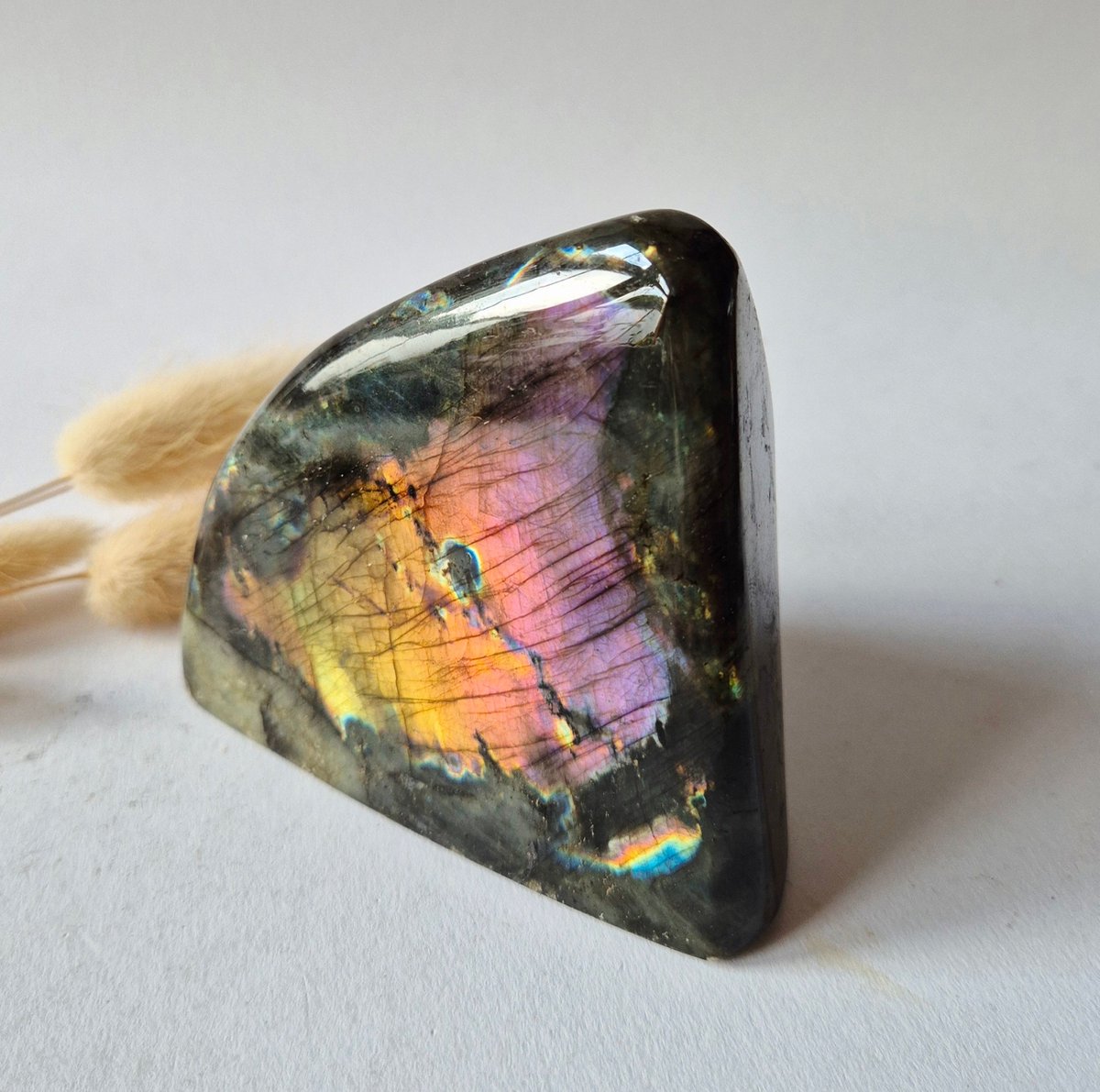 Premium Flash Labradoriet Freeform 474g | AAA Kwaliteit | Natuurlijke Edelsteen