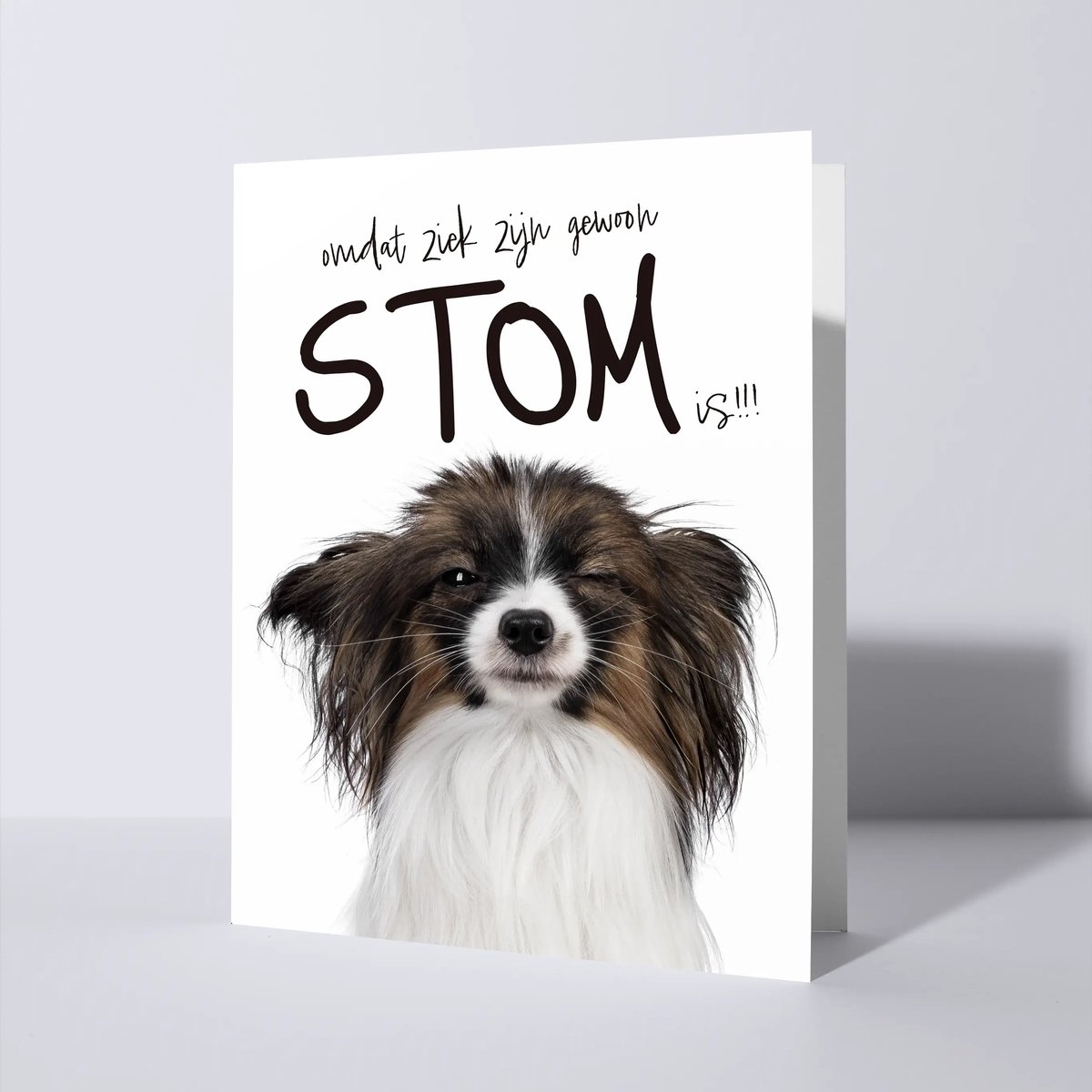 CAT'CHY Cards - wenskaart - beterschap - hond