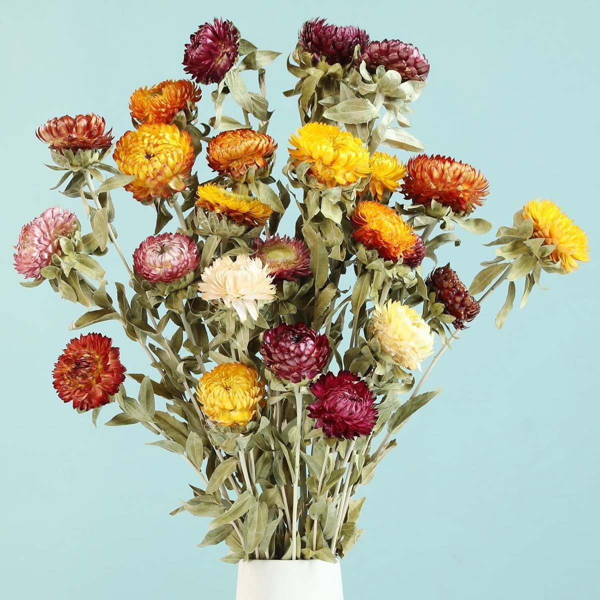 SnelShoppen - Natural Bouquet Gedroogde Bloemen, 20 Stuks Dried Daisies met Stelen, Multifunctionele Decoratie voor Bruiloften, Landelijk Huis, Tafelv