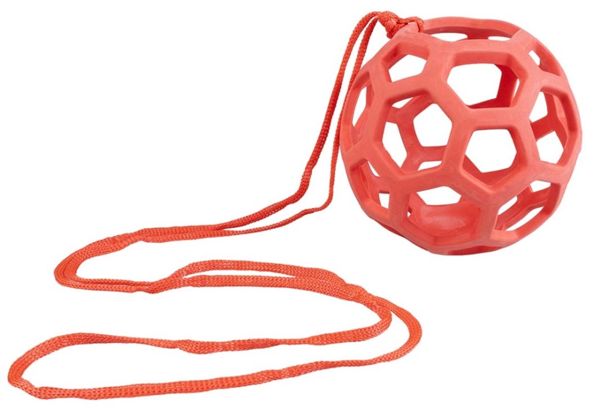 Voederbal voor kippen 14cm 1,5 meter rood