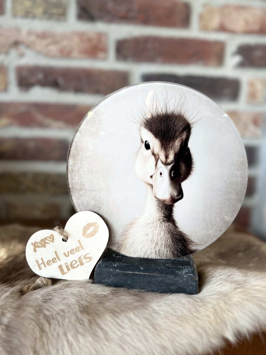Creaties van hier – met houten hartje - Glasplaatje Brocante Eend - Glasplaatje doorsnede 18 cm - Inclusief houder