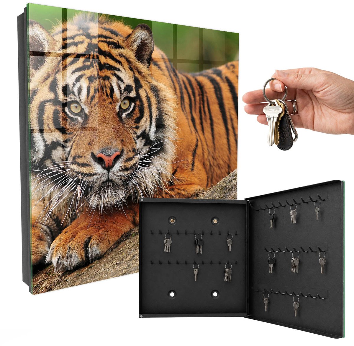 WallMuralia - Sleutelkast - 30x30x5 cm - met 50 haken - Tijger Die Uitrust Sleutelkastje Modern - Oranje Sleutelbox - Rechtsopenend - Zwart interieur