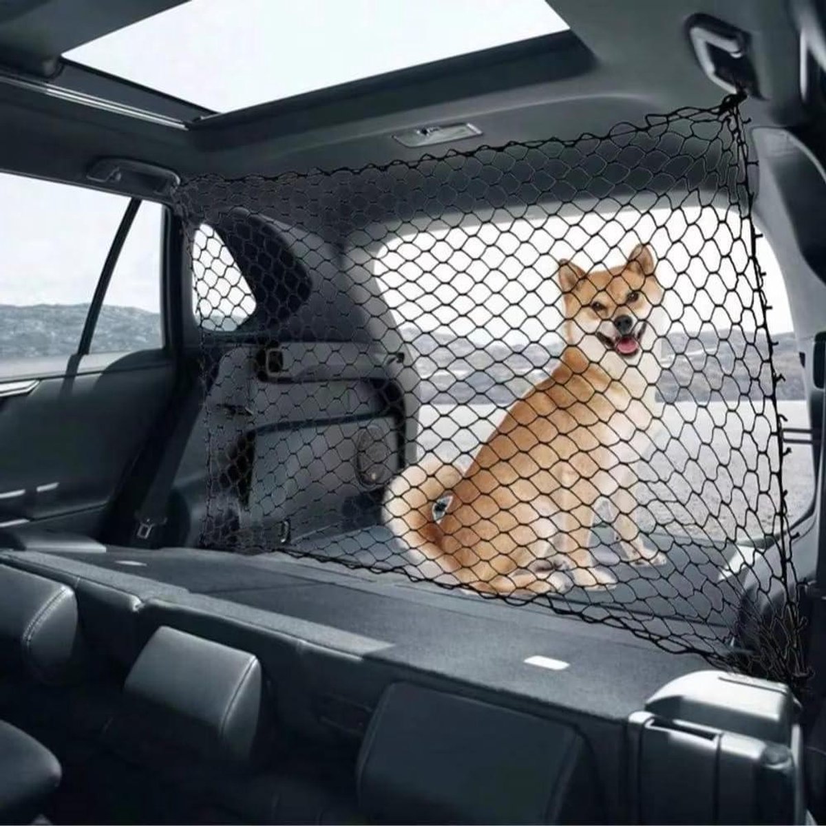 Hondenrek Auto - Hondennet Kofferbak - Veilig Reizen - Verhoogt Rijveiligheid - 120cm x 70cm - Zwart
