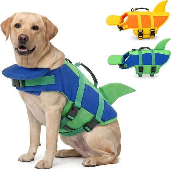 Caniche moyen portant un gilet de natation bleu et vert avec aileron de requin. Petits gilets de natation orange et vert en arrière-plan.