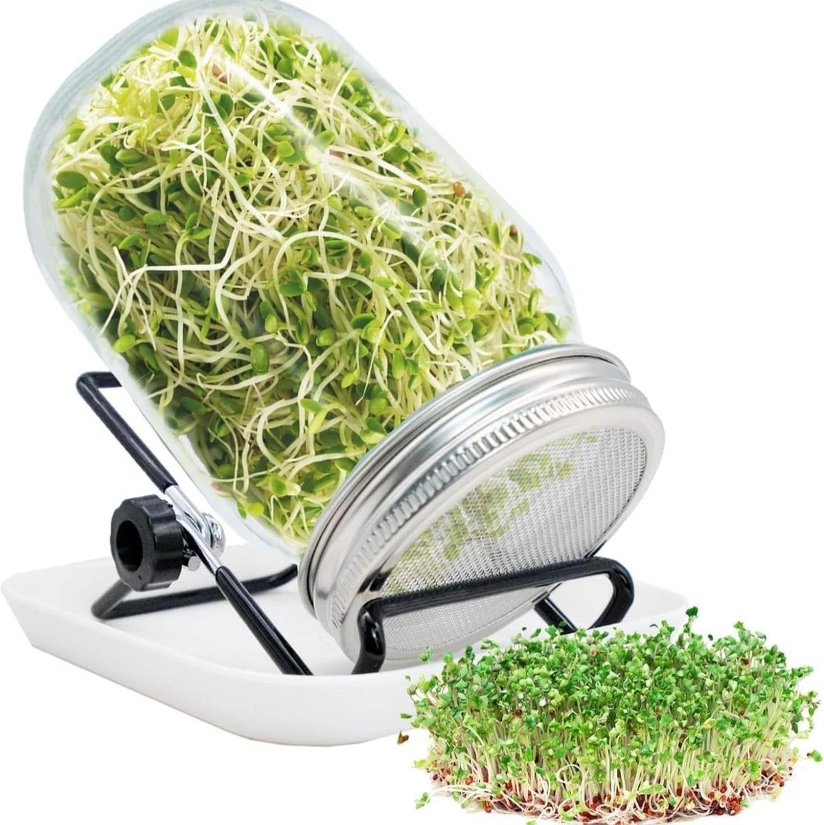 Kiemglas, set kiemglas, 750 ml, kiemglazen voor kiemen, kiemglazen met roestvrijstalen filterdeksel, standaard en opvangschaal, kiemglas voor broccoli, alfalfa, tuinkers, beginnersset voor microgroen
