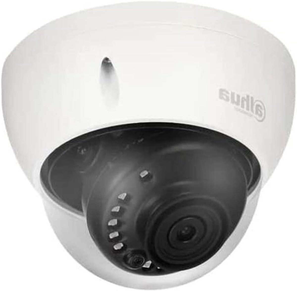 Koepel Camera - Beveiligingscamera Dome - Objecten Beveiligen - Starlight Nachtzicht - IR30m - Multicolore