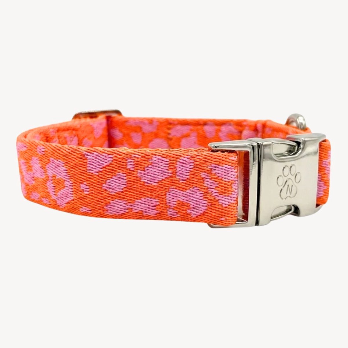 Panter 2.0 - Oranje/Roze - Halsband Hond - XS - 22 / 36 cm - Puppy halsband - kleine hond