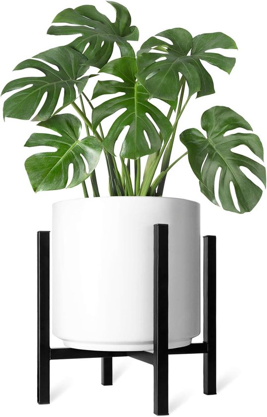 Une grande plante verte dans un pot blanc sur un support métallique noir.